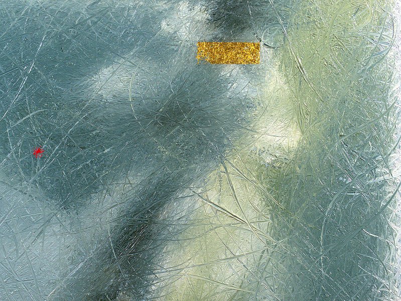 Horse Galloping 4 detail