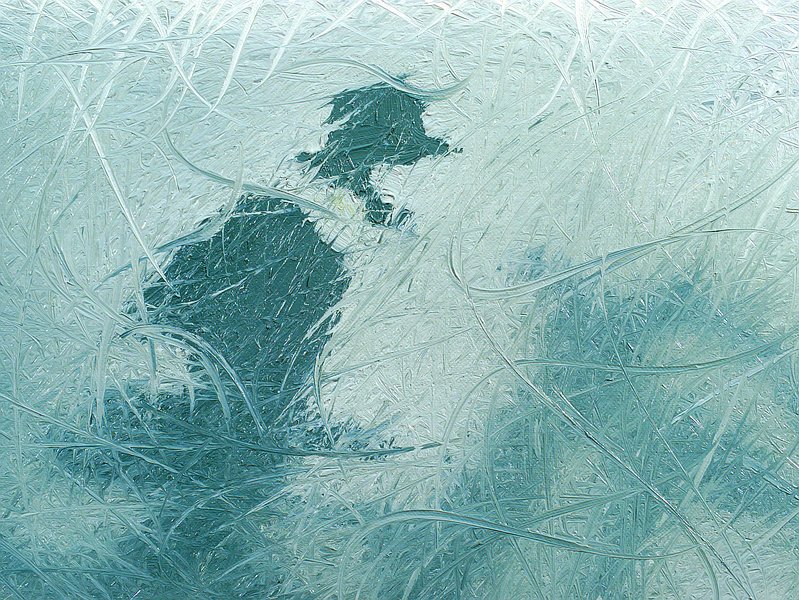 Horse Galloping 5 detail