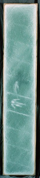 Photography And The Sporty 5